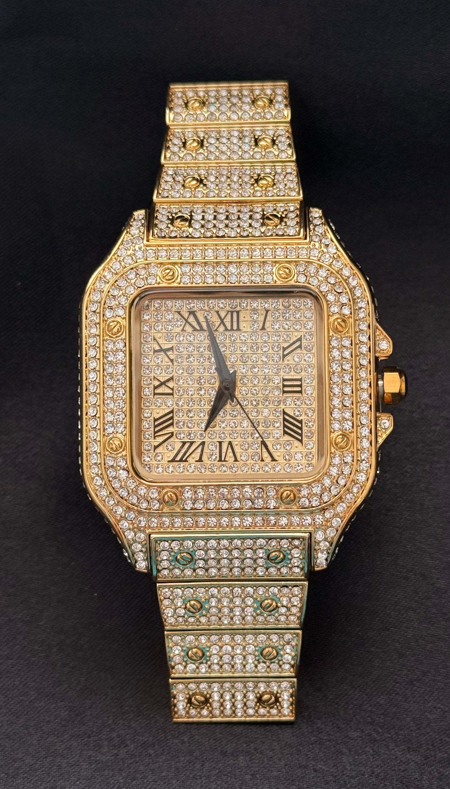 Fiji BustDown Watch